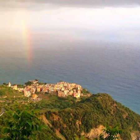 Cinque Terre Sea View Lejlighed Vernazza Eksteriør billede