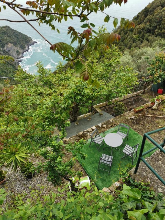 Cinque Terre Sea View Lejlighed Vernazza Eksteriør billede